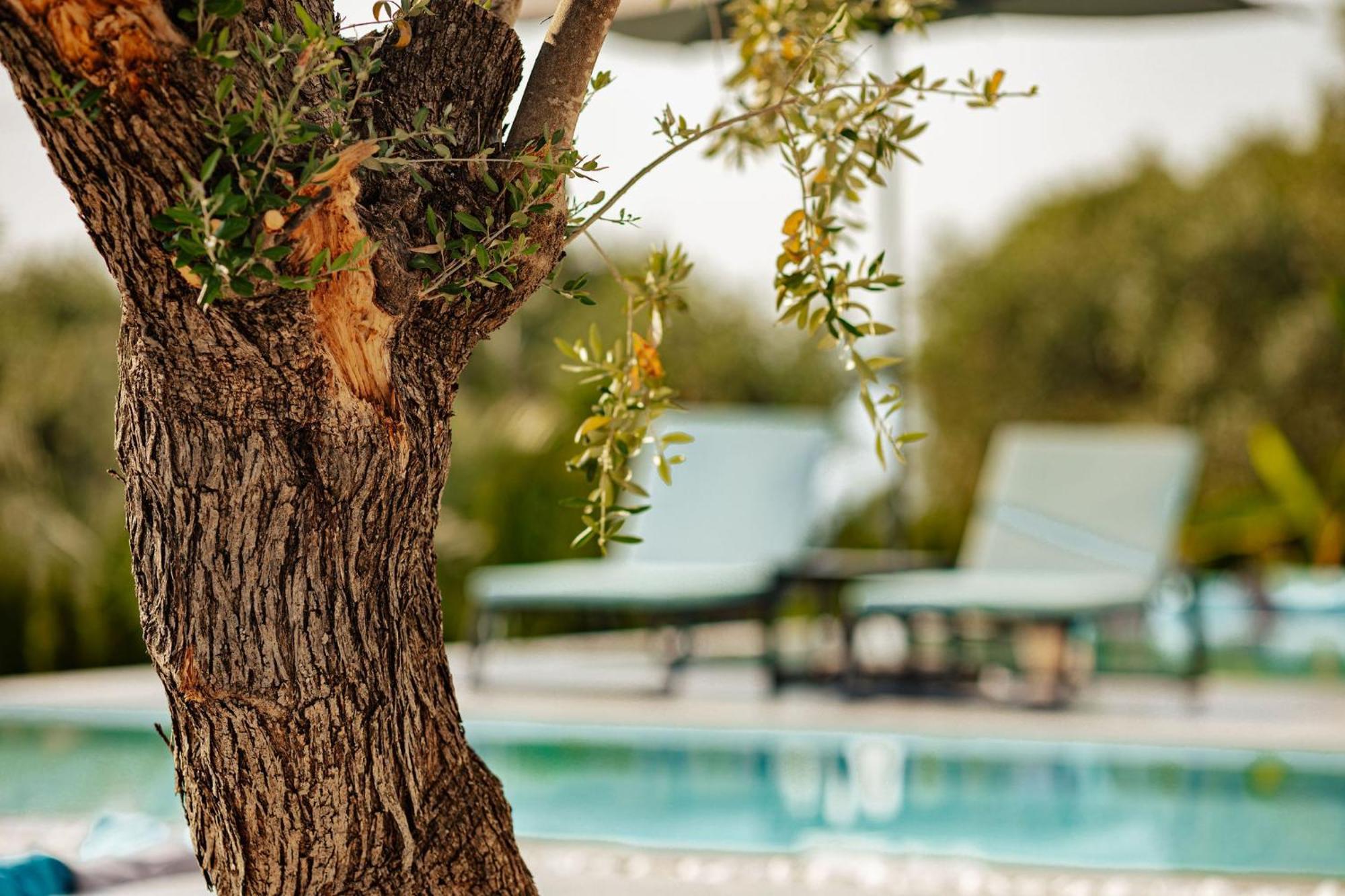 Nooa Villas Skala Rachoni  Екстер'єр фото